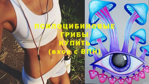 каннабис Инта