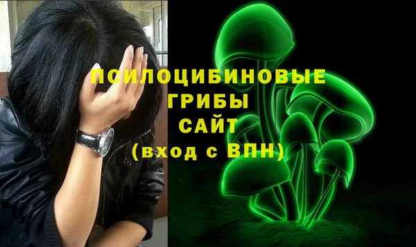 МДМА Инсар