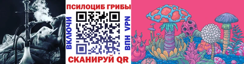 Псилоцибиновые грибы GOLDEN TEACHER  Купить  Покачи 